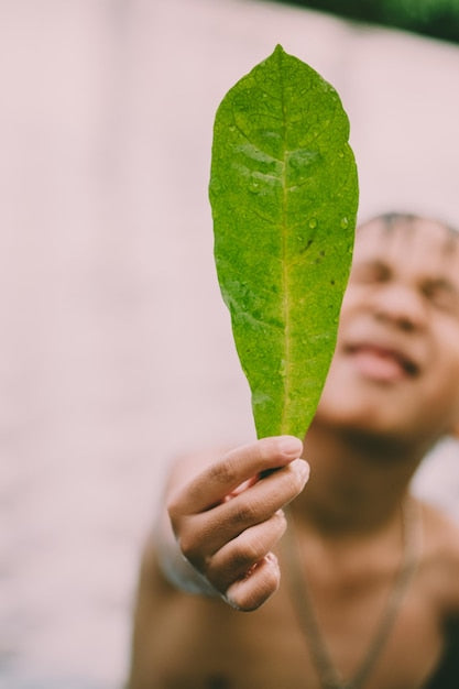 Warum vegetarische Ernährung nachhaltig ist – Fakten und Tipps