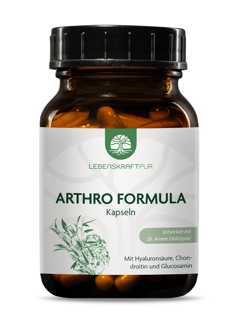 Arthro Formula Kapseln