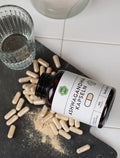 Bio Ashwagandha 180 Kapseln - VITALOVE - Naturprodukte