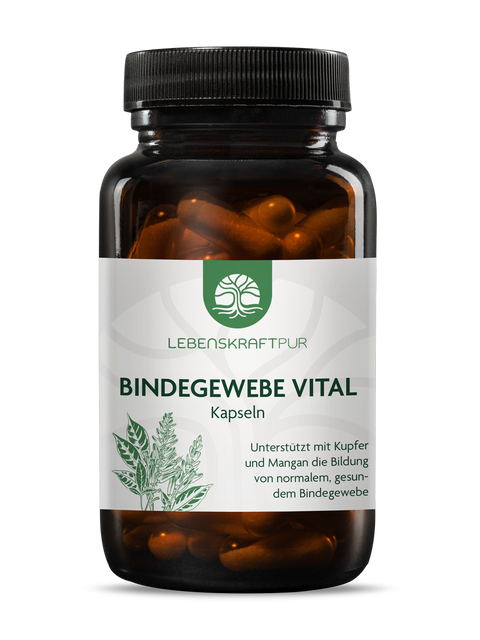 Bindegewebe Vital Kapseln