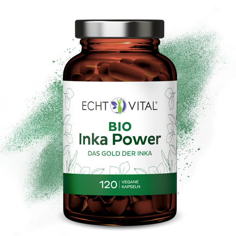 Bio Inka Power - 1 Glas mit 120 Kapseln