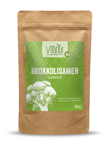 Bio Brokkolisamen Gekeimt