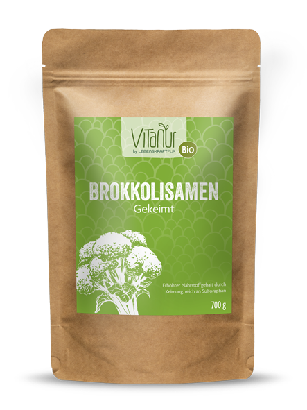 Bio Brokkolisamen Gekeimt