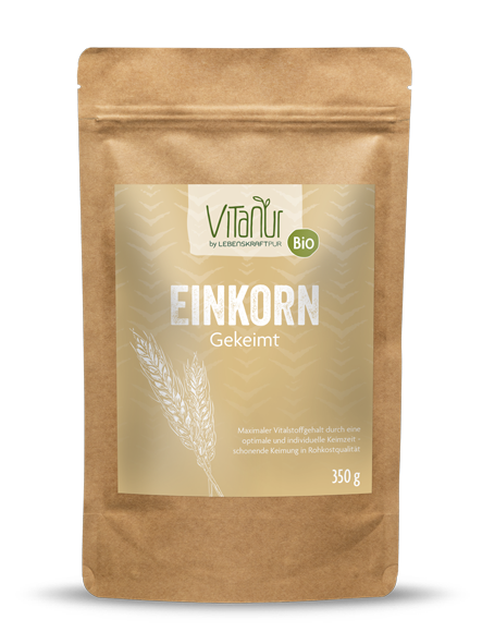 Bio Einkorn Gekeimt