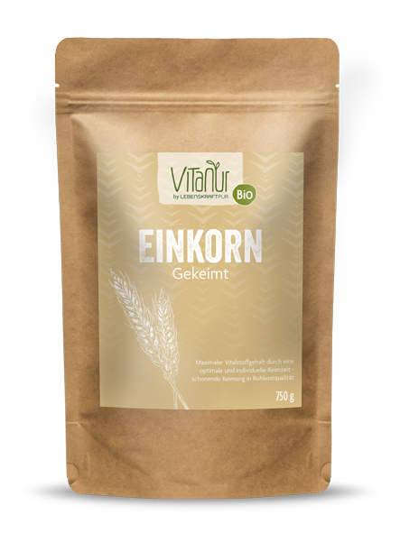 Bio Einkorn Gekeimt