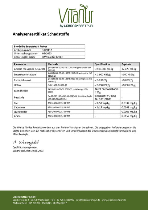 Bio Gelbe Beerenkraft Pulver