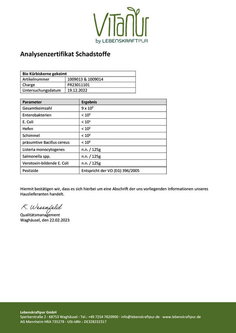 Bio Kürbiskerne Gekeimt