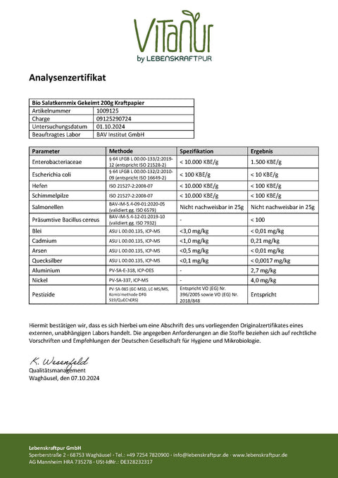 Bio Salatkernmix Gekeimt