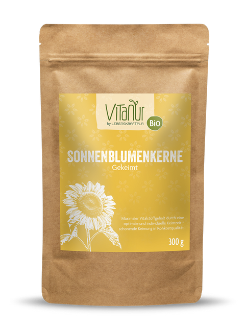 Bio Sonnenblumenkerne Gekeimt