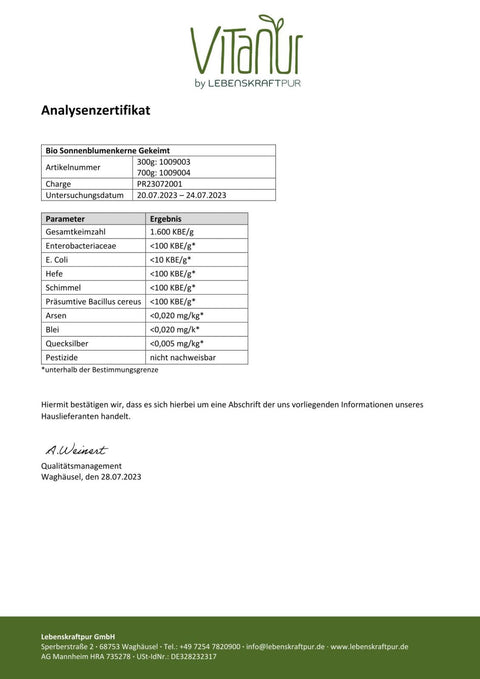 Bio Sonnenblumenkerne Gekeimt