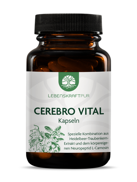 Cerebro Vital Kapseln