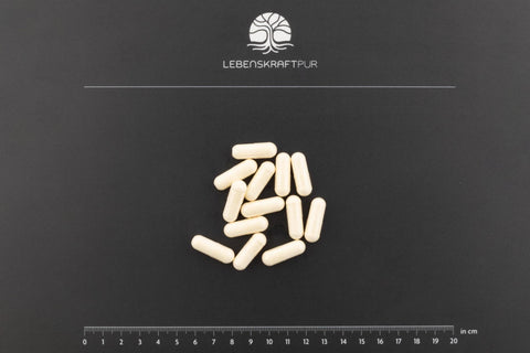 L-Arginin Plus Kapseln