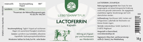 Lactoferrin Kapseln