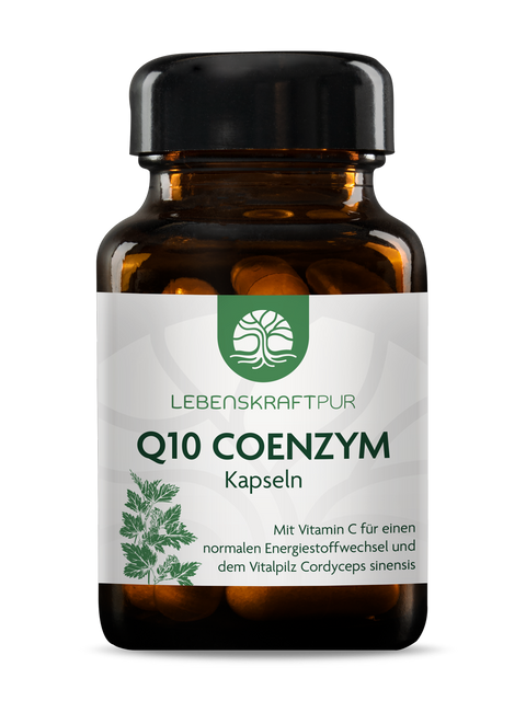 Q10 Coenzym Kapseln