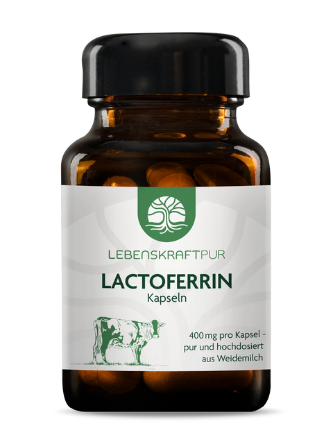 Lactoferrin Kapseln