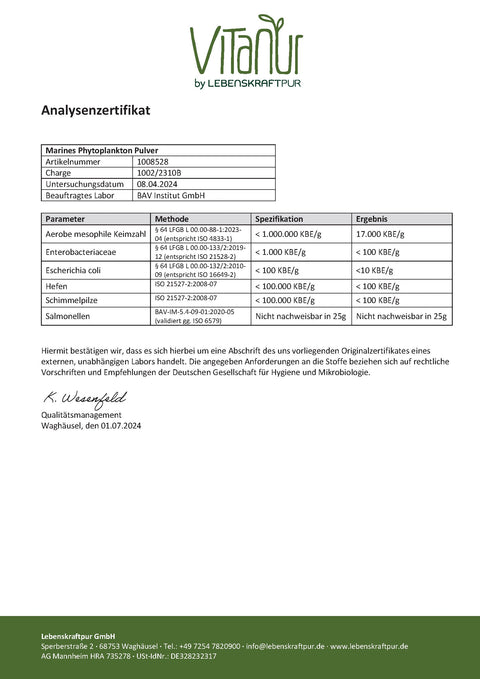 Marines Phytoplankton Pulver