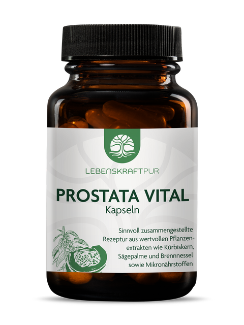 Prostata Vital Kapseln