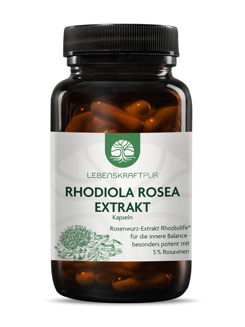 Rhodiola Rosea Extrakt Kapseln