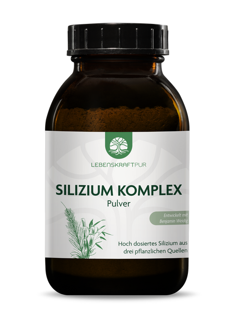 Silizium Komplex Pulver