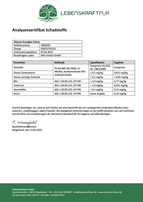 Silizium Komplex Pulver