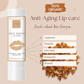 ANTI-AGING LIP-CARE Lippenpflegestift mit Propolis, Hyaluron, Aloe Vera + Sheabutter - VITALOVE - Naturprodukte