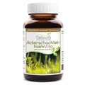 Ackerschachtelhalm (Zinnkraut) - Pulver (Vita) - VITALOVE - Naturprodukte