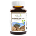 Weihrauch (Boswellia papyrifera) - Pulver - VITALOVE - Naturprodukte